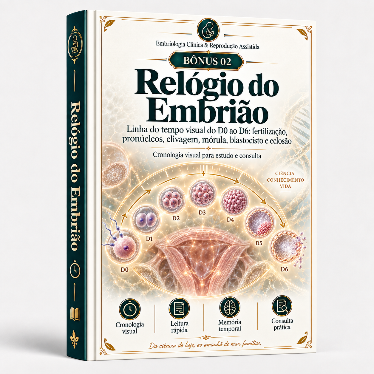 Bônus 2 — Relógio do Embrião
