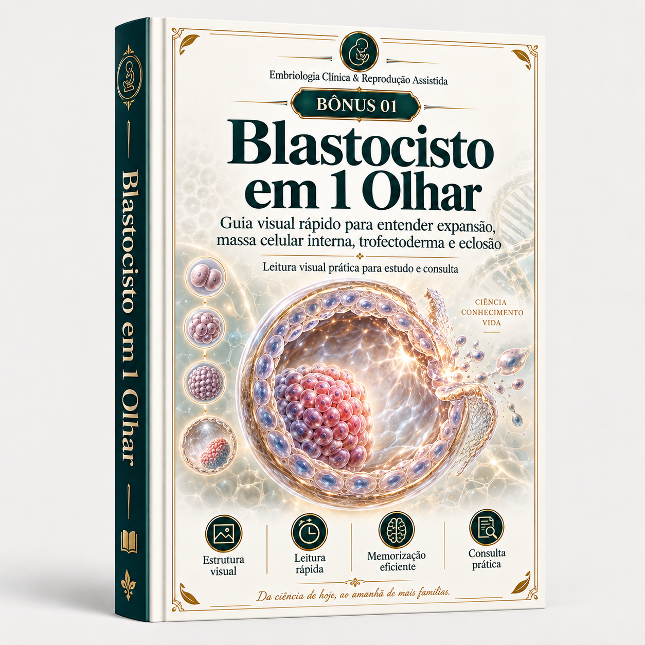 Bônus 1 — Blastocisto em 1 Olhar